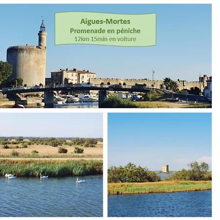 Appartement O Sixieme Face Au Port Avec Garage Prive, Climatisation Et Wifi - Rossiconciergerie - Linge Inclus La Grande-Motte